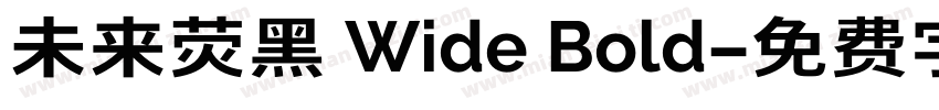 未来荧黑 Wide Bold字体转换